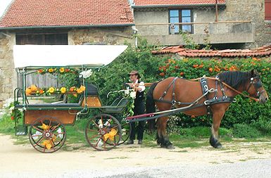 Location de calèche, mariage, évènement